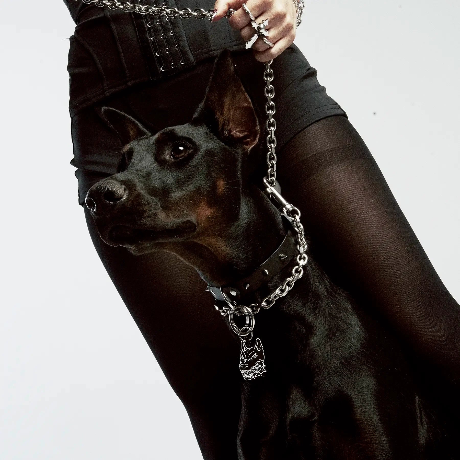 PET TAG - Hard Jewelry™