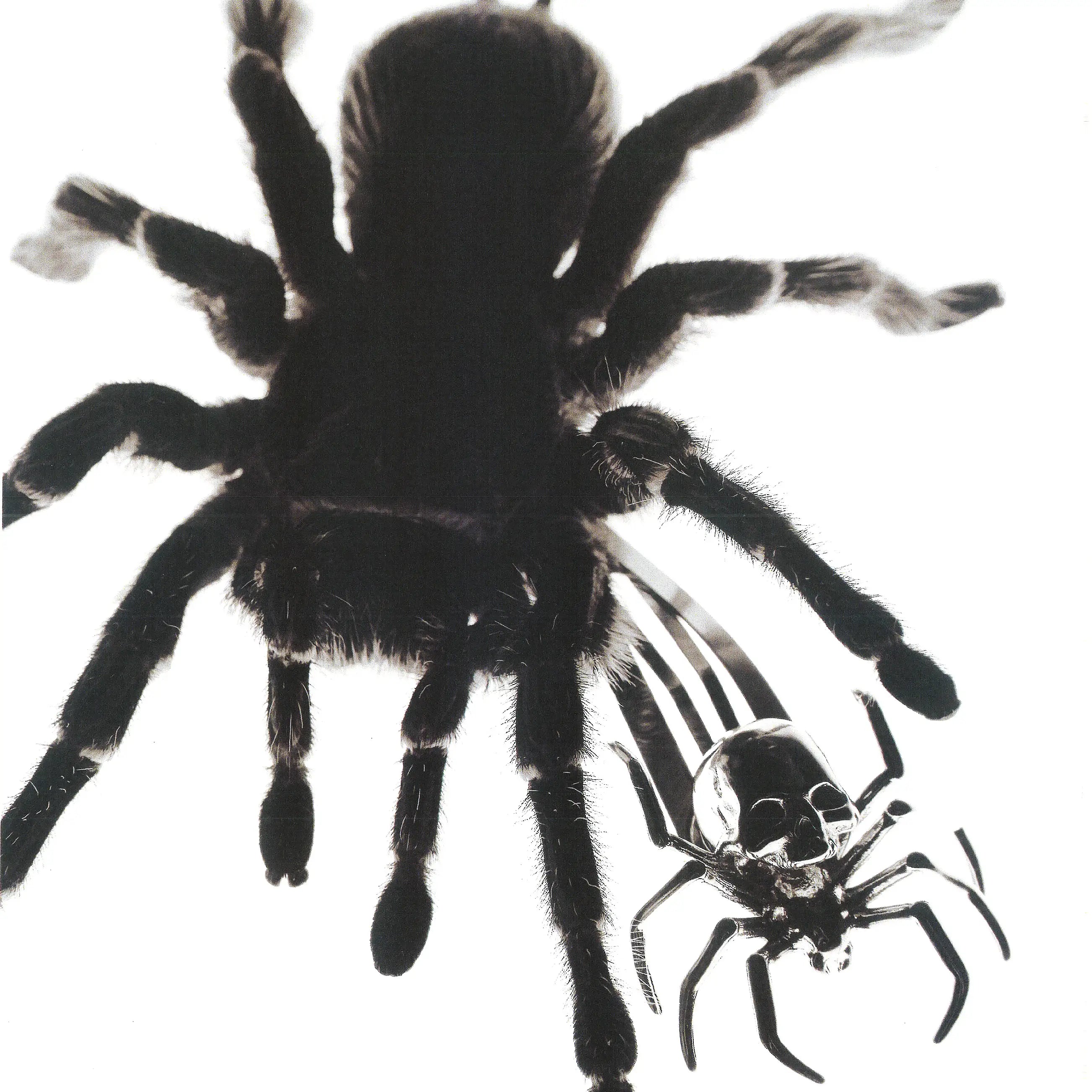 SPIDER HAIR CLIP - Hard Jewelry™