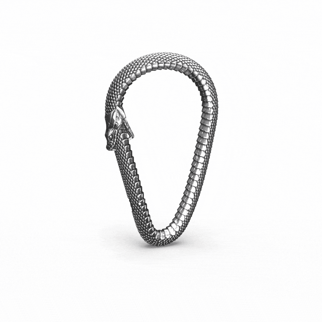 OUROBOROS CARABINER