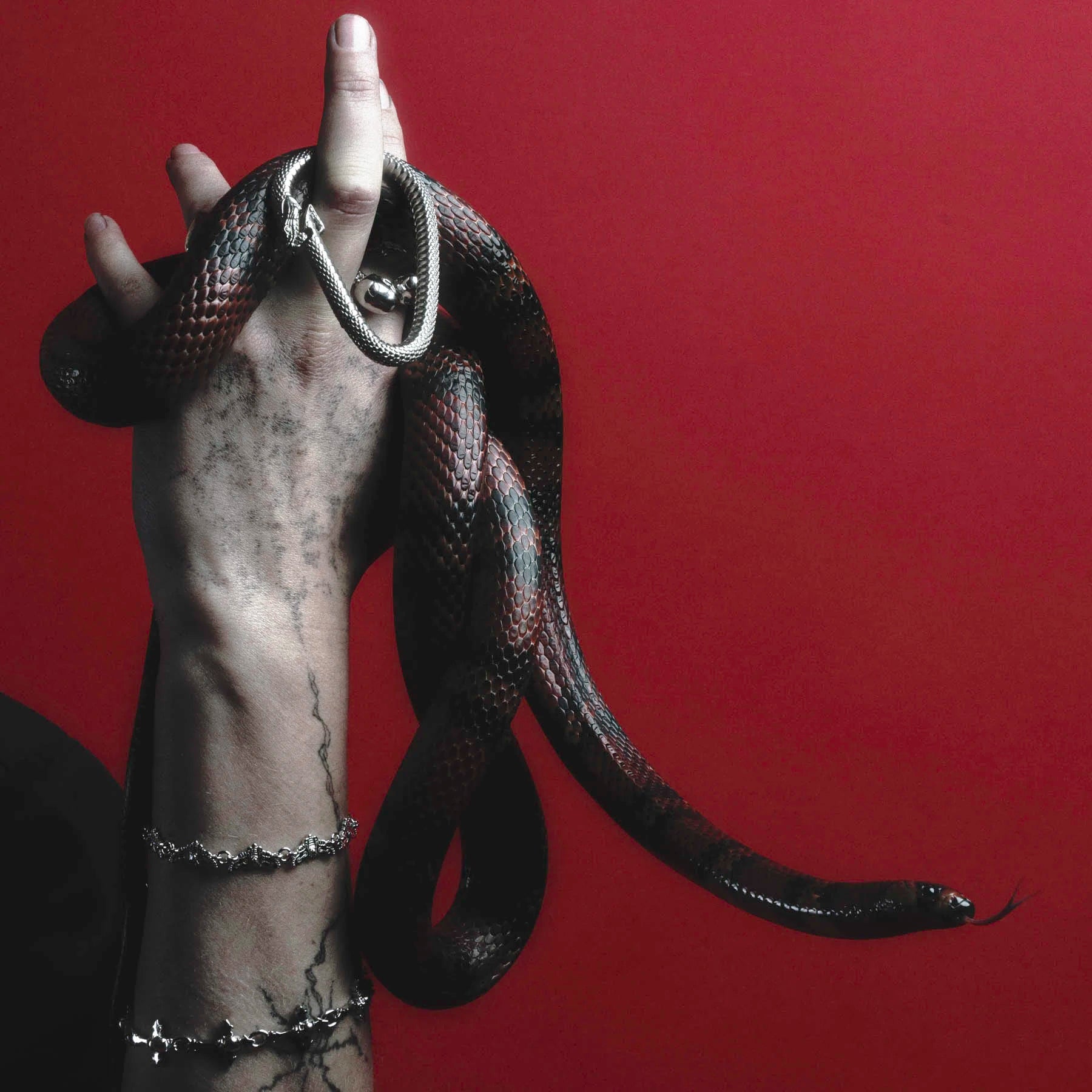 OUROBOROS CARABINER - Hard Jewelry™