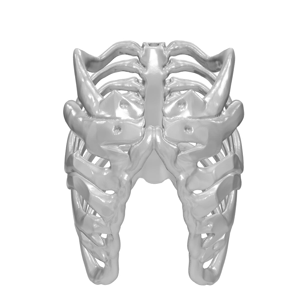 RIBCAGE RING