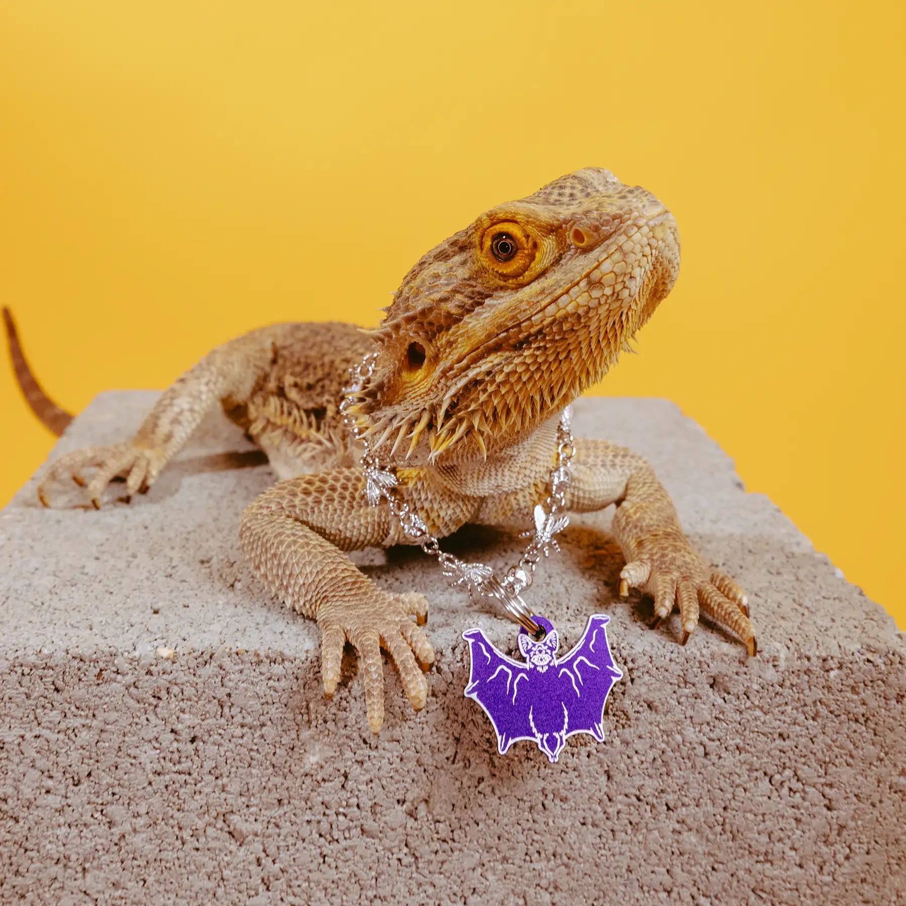 PET TAG - Hard Jewelry™