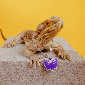 PET TAG - Hard Jewelry™