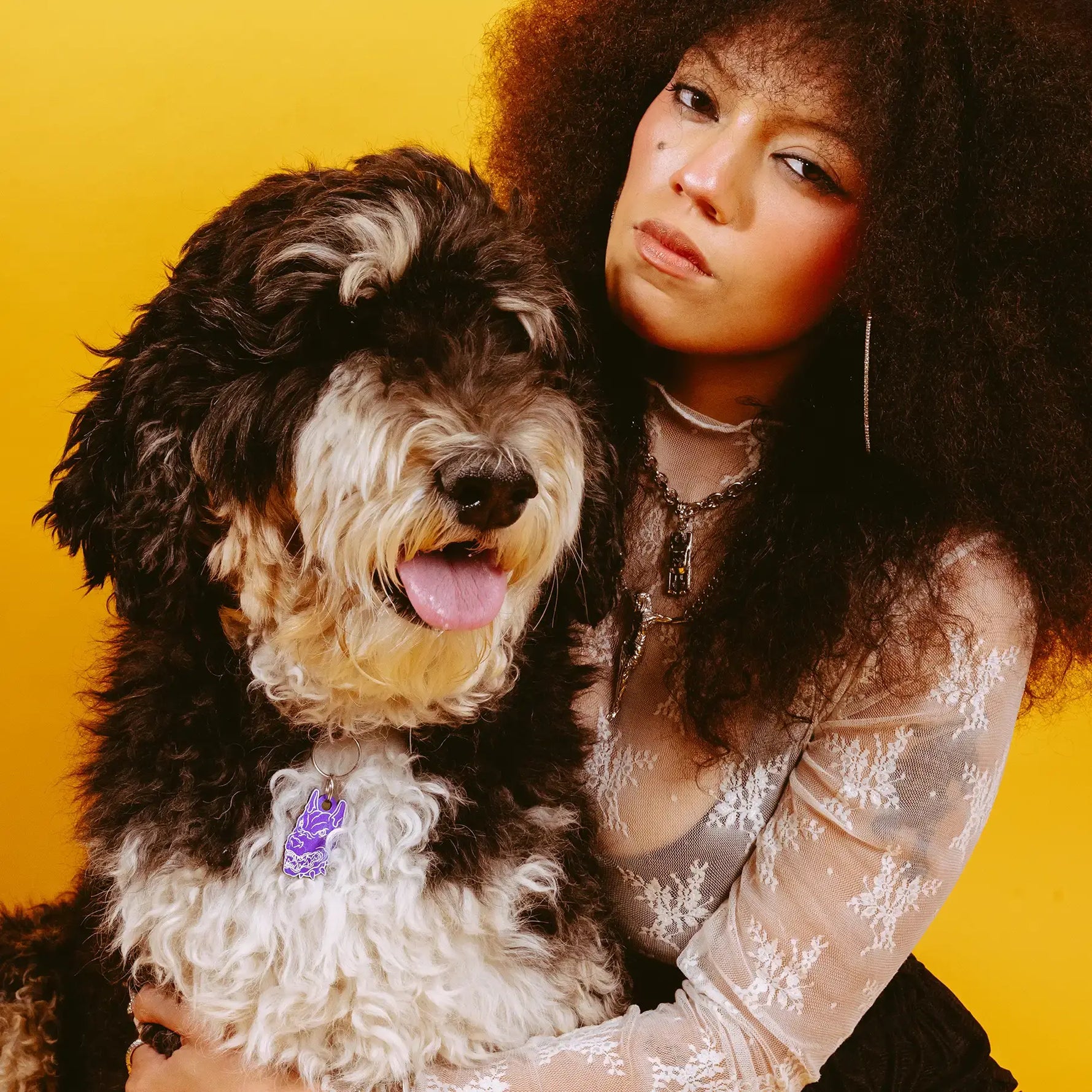 PET TAG - Hard Jewelry™