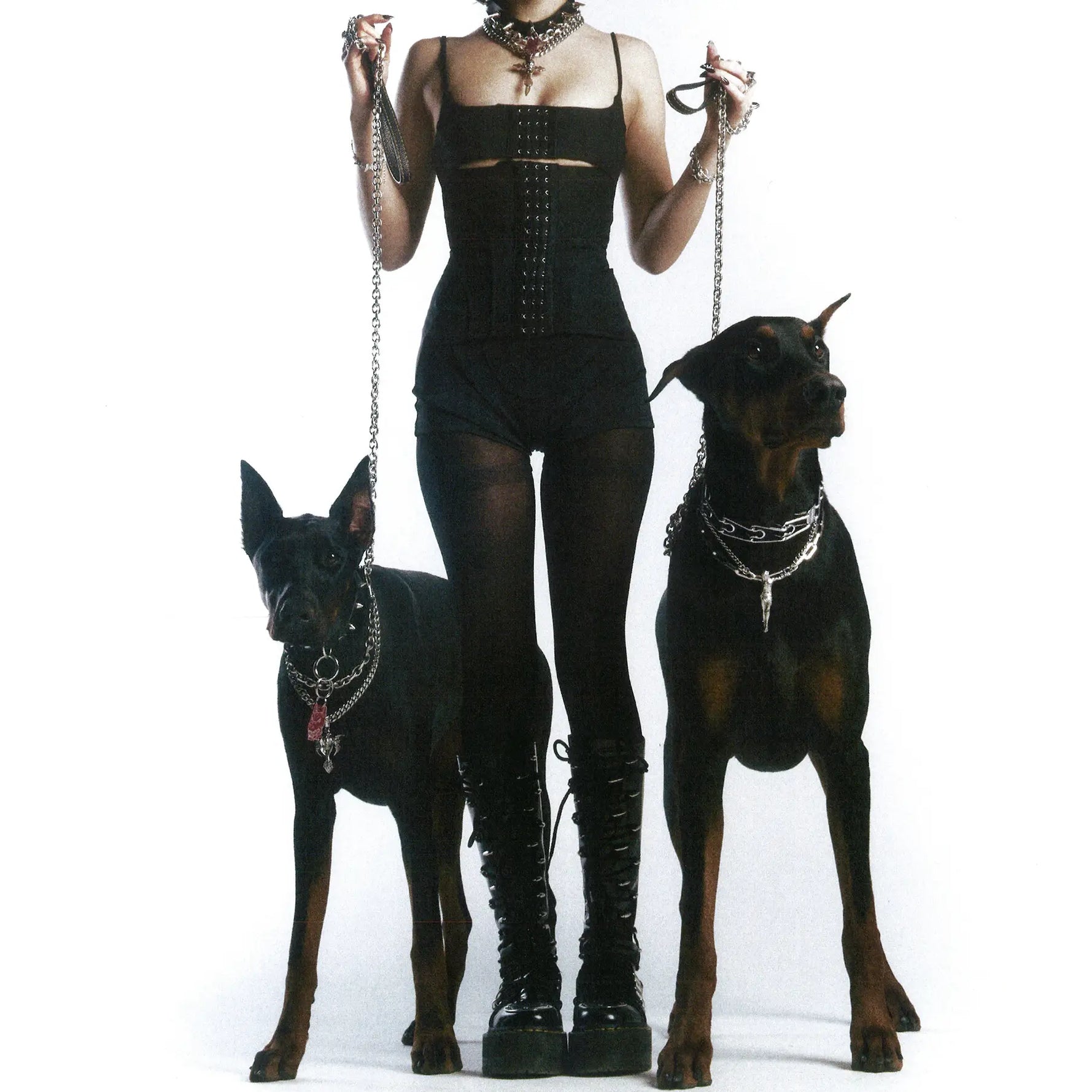 PET TAG - Hard Jewelry™