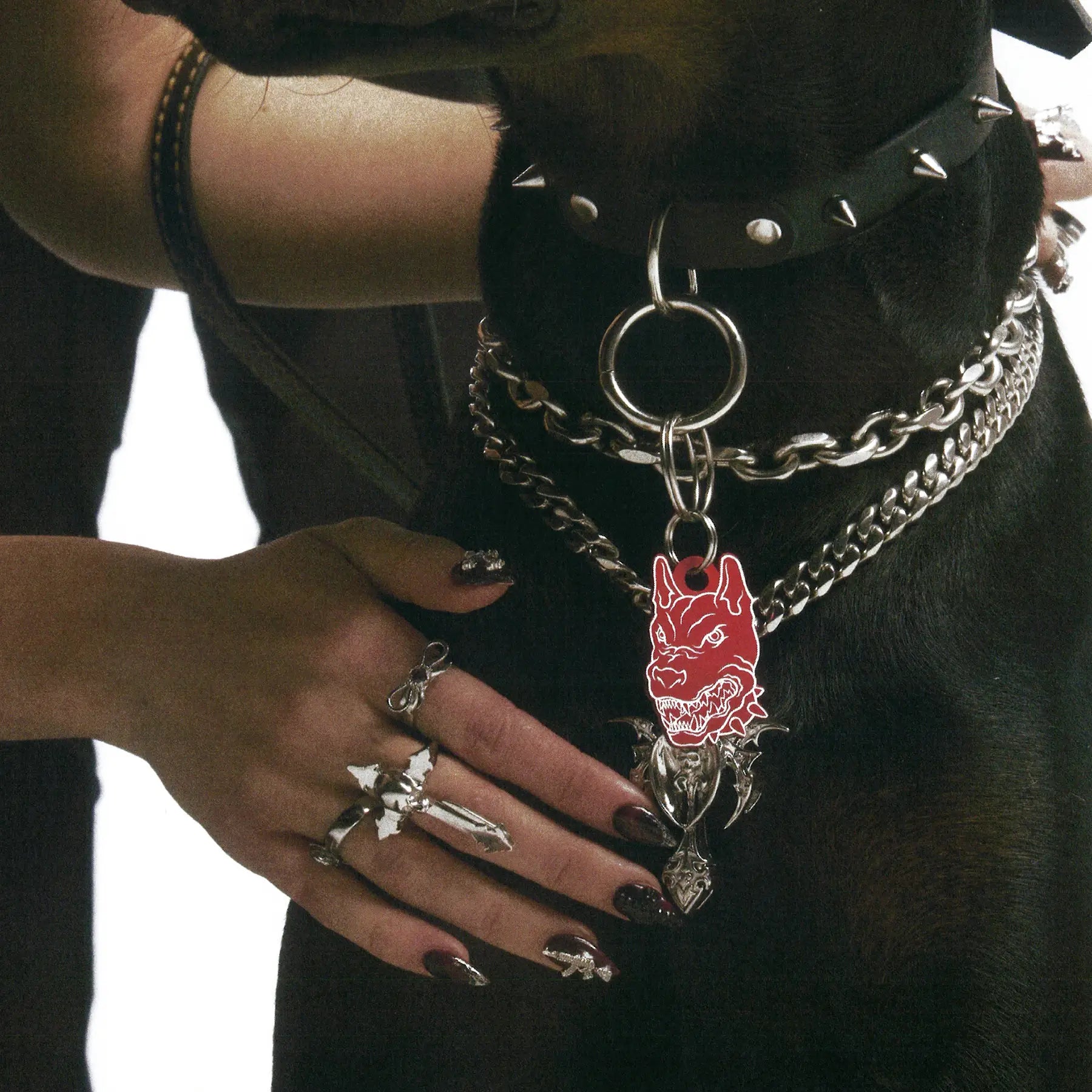 PET TAG - Hard Jewelry™