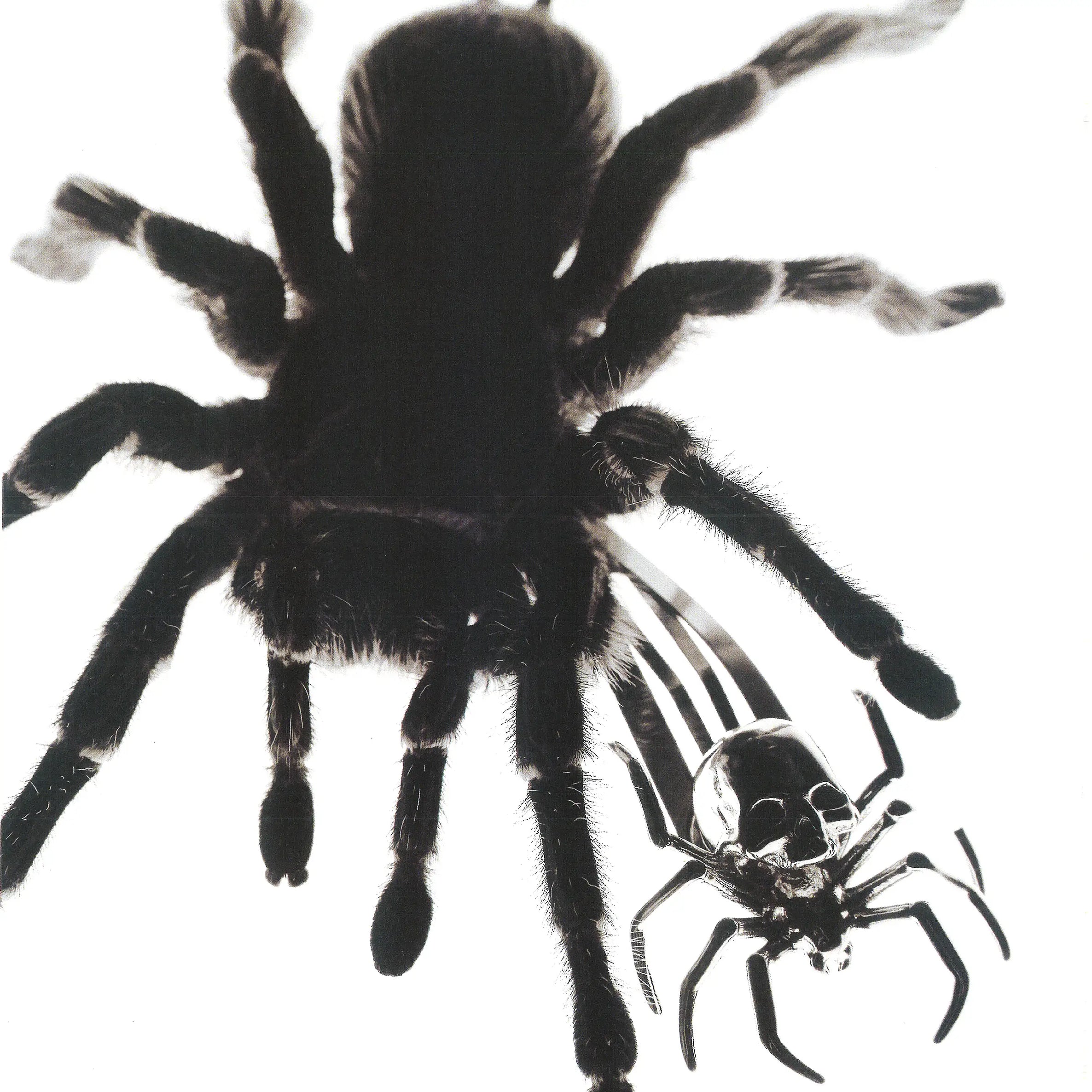 SPIDER HAIR CLIP - Hard Jewelry™