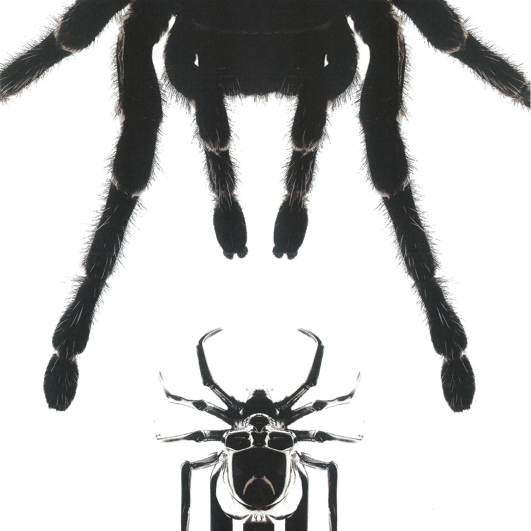 SPIDER HAIR CLIP - Hard Jewelry™