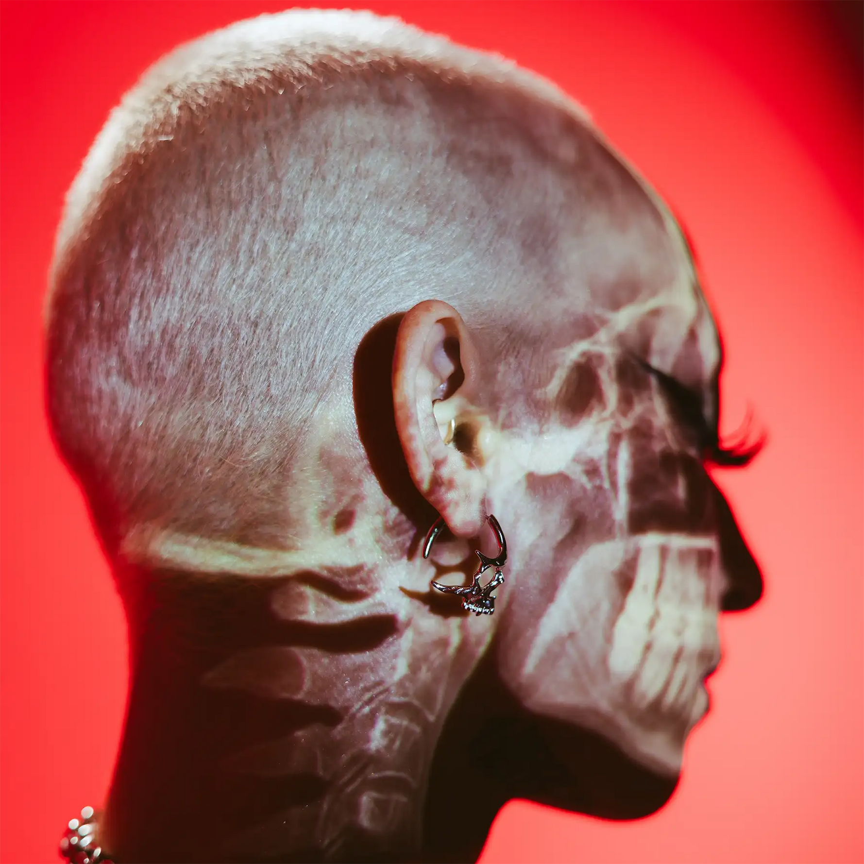 SKULL HOOP EARRINGS - Hard Jewelry™