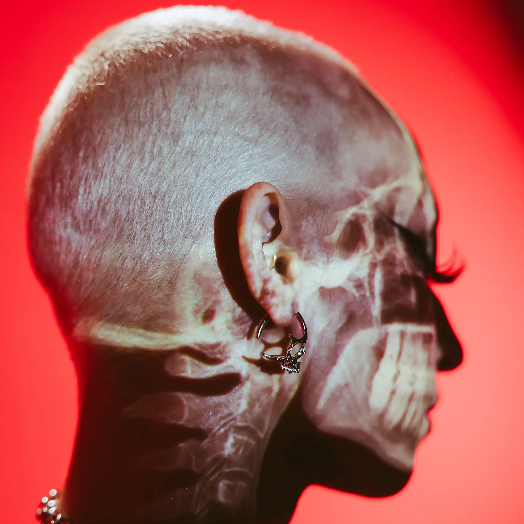 SKULL HOOP EARRINGS - Hard Jewelry™