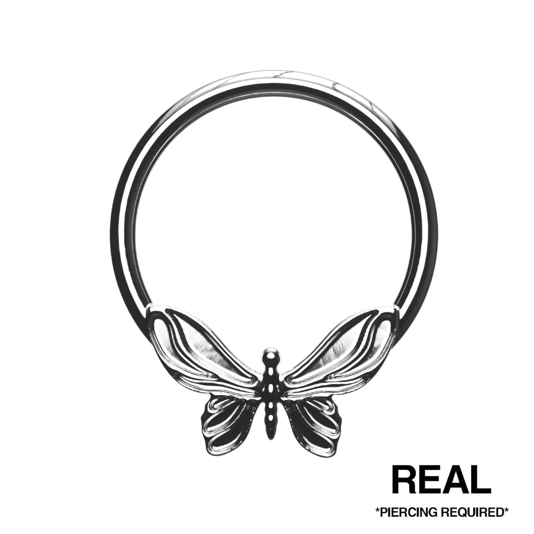 BUTTERFLY SEPTUM