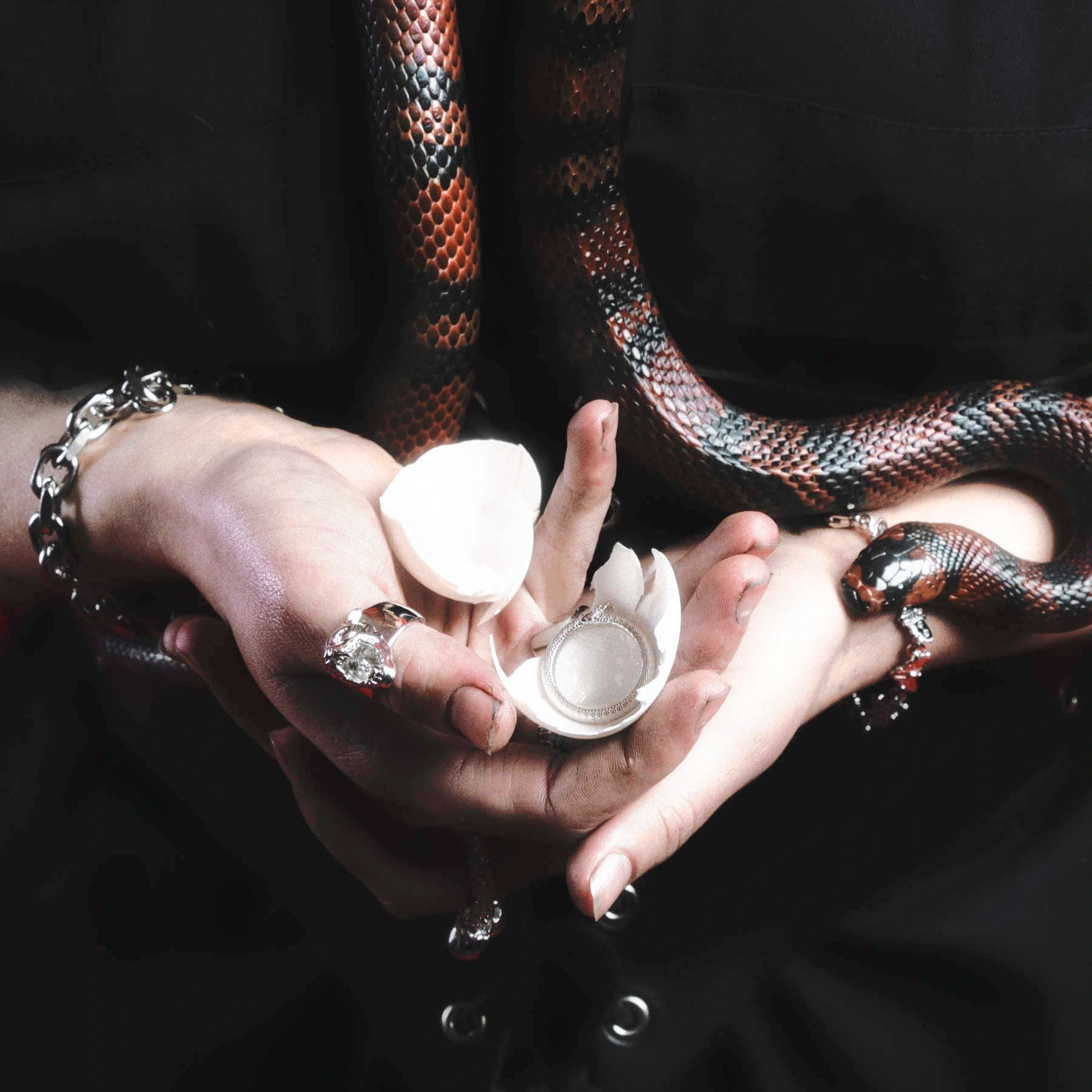 HELLCAT RING - Hard Jewelry™