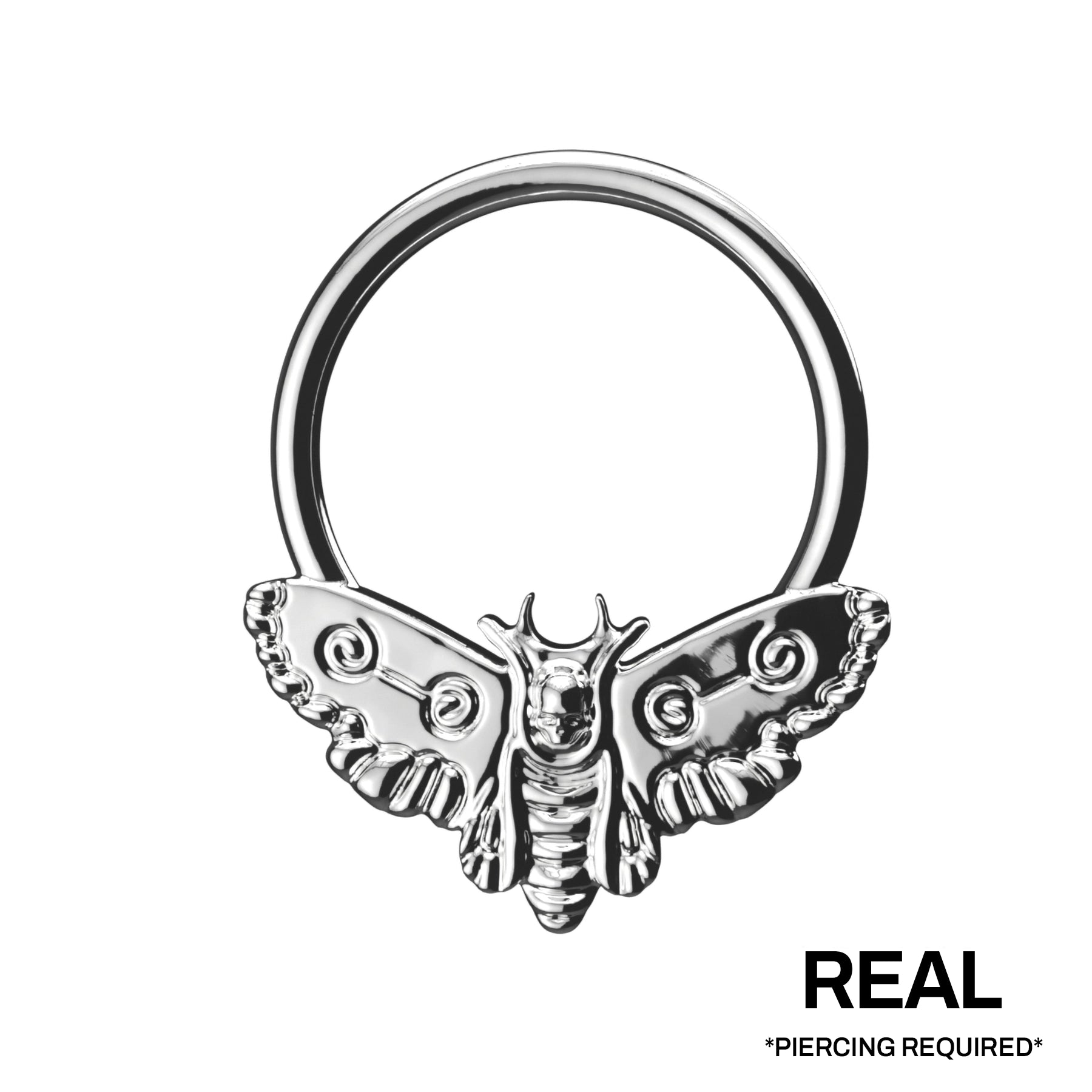 MOTH SEPTUM