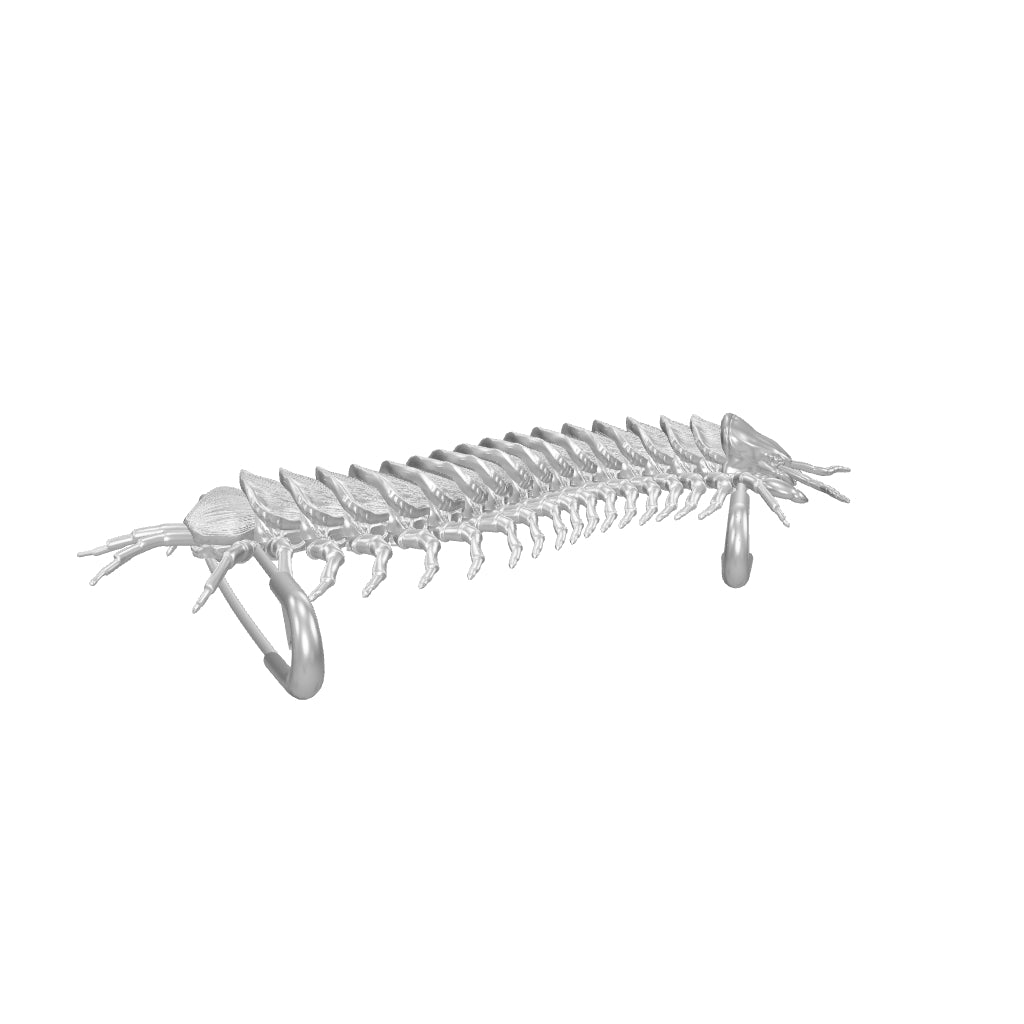 CENTIPEDE SAFETY PIN