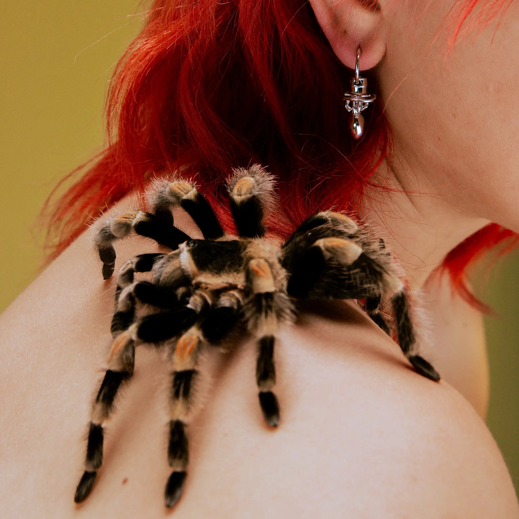 SPIDER PACIFIER EARRING - Hard Jewelry™
