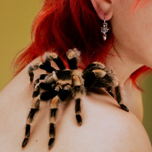 SPIDER PACIFIER EARRING - Hard Jewelry™