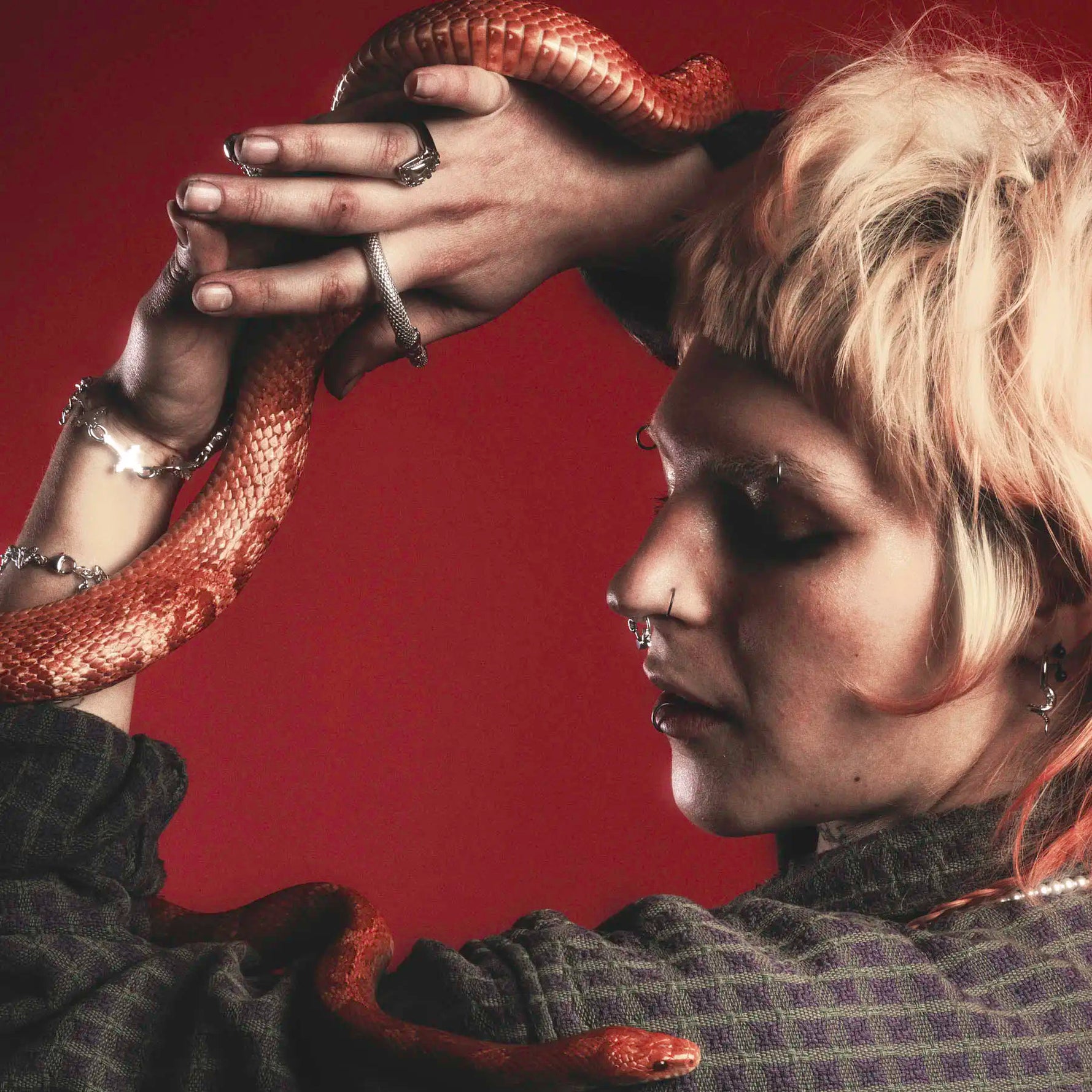 COSMIC LOVERS SEPTUM - Hard Jewelry™