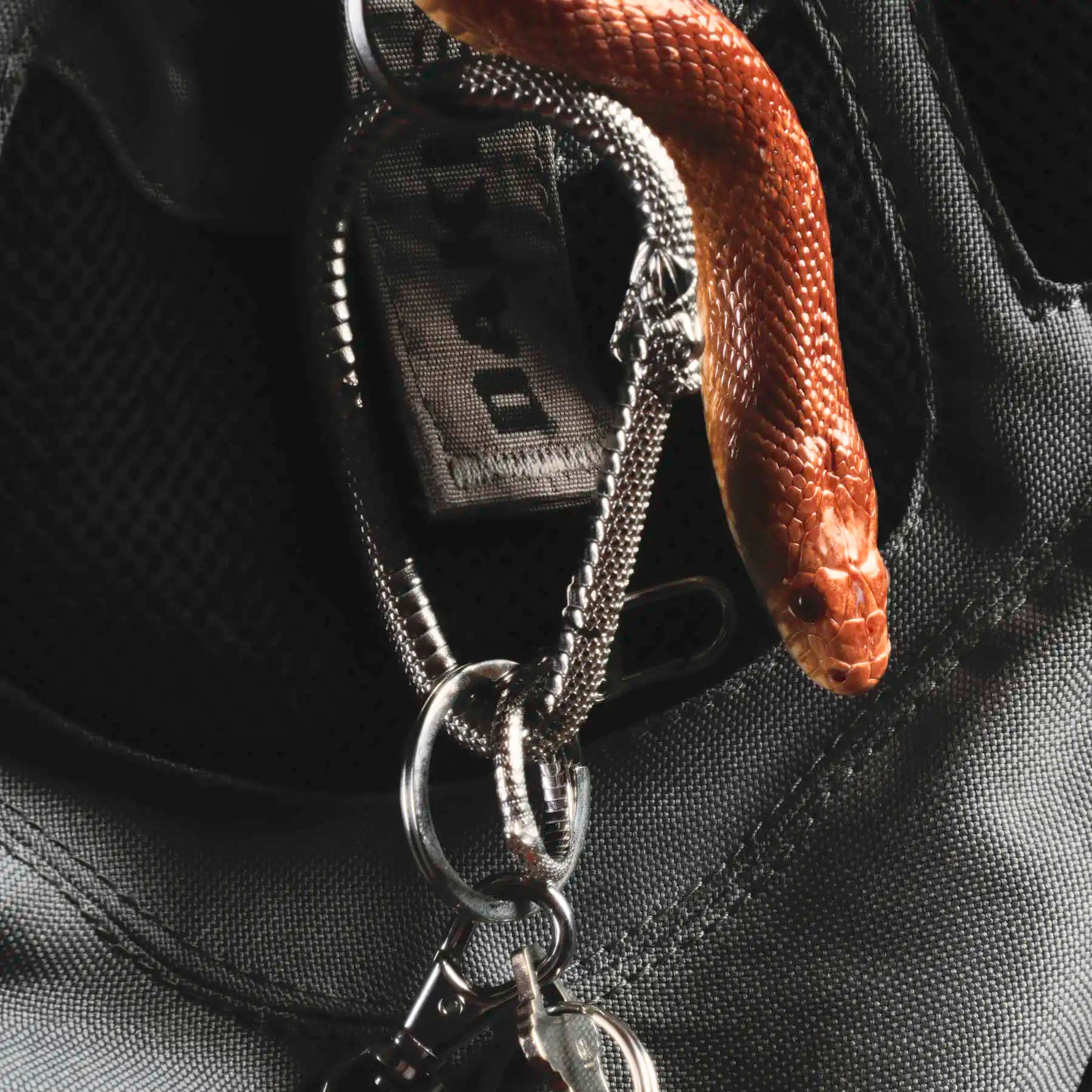 OUROBOROS CARABINER - Hard Jewelry™