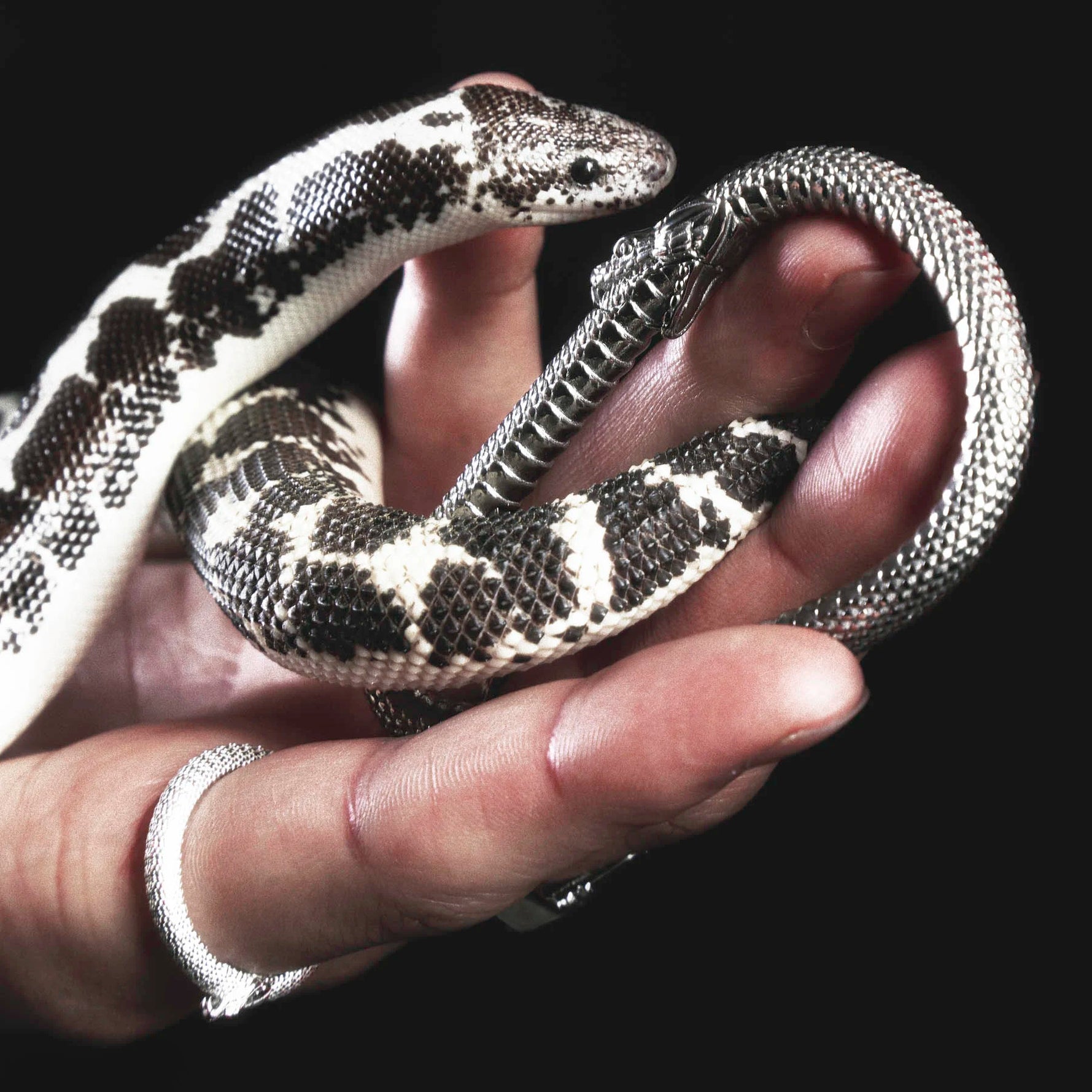 OUROBOROS CARABINER - Hard Jewelry™