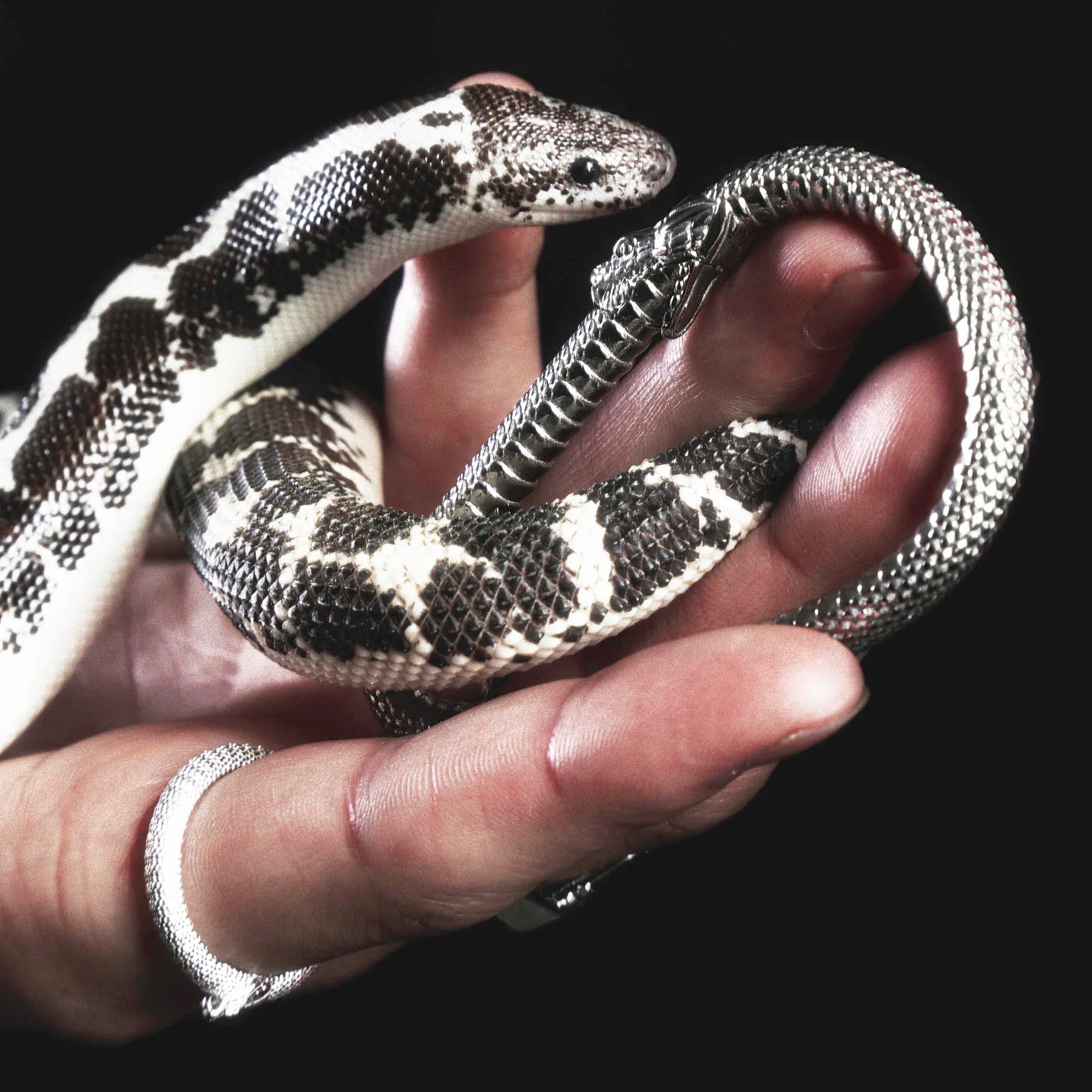 OUROBOROS CARABINER - Hard Jewelry™