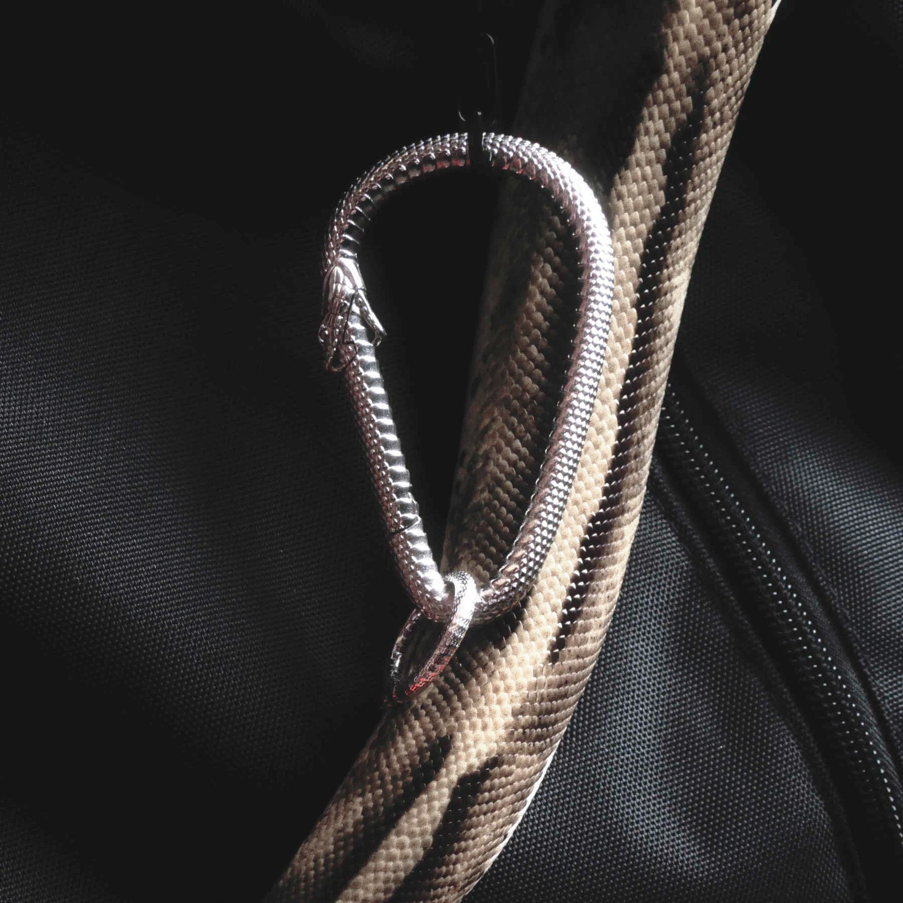 OUROBOROS CARABINER - Hard Jewelry™
