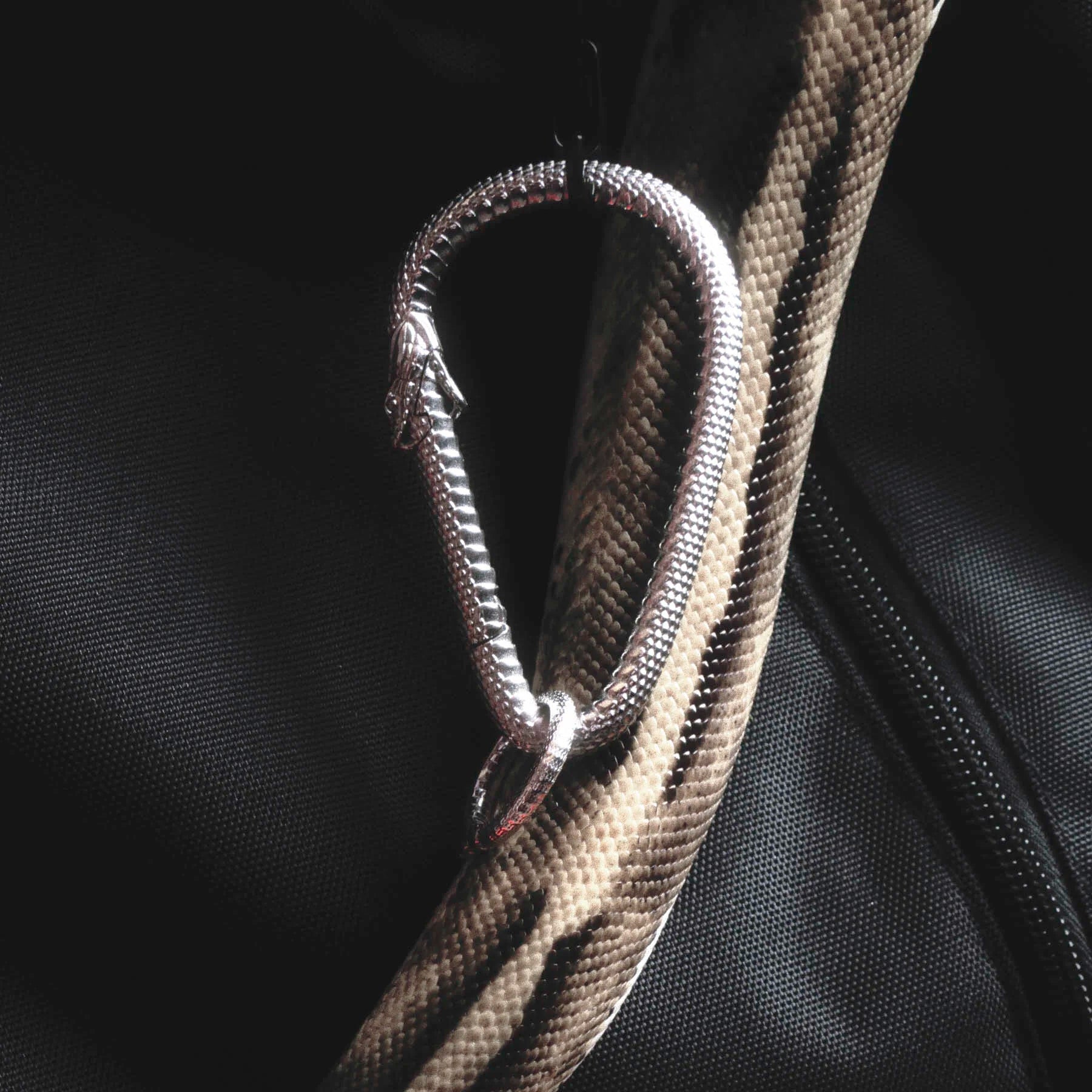 OUROBOROS CARABINER - Hard Jewelry™