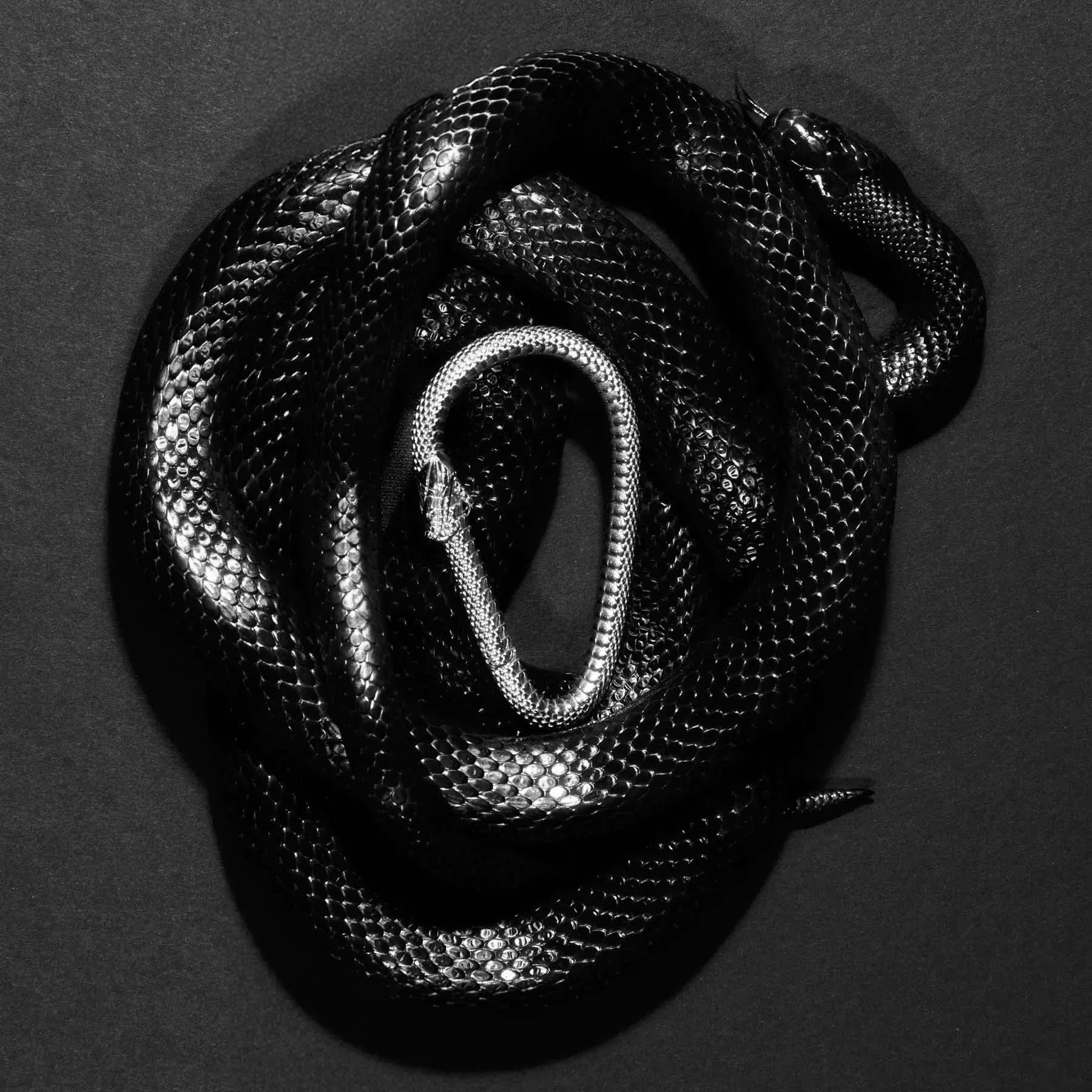 OUROBOROS CARABINER - Hard Jewelry™