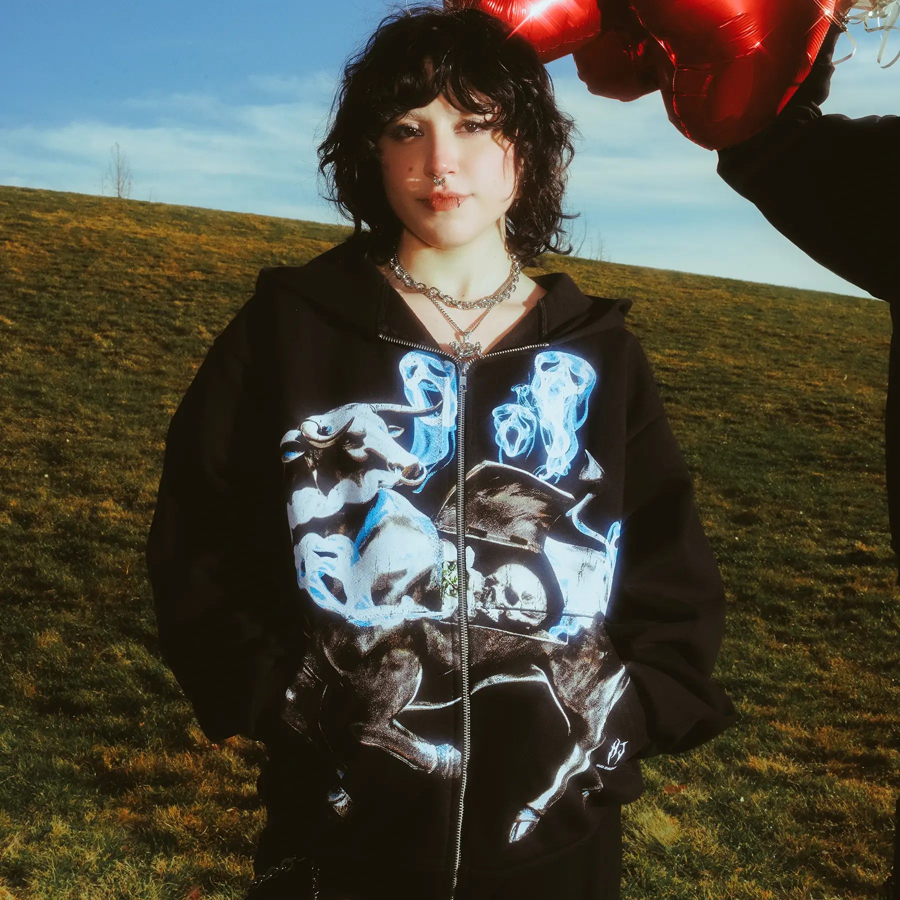 VALENTINES 2026 ZODIAC ZIPUPS - Hard Jewelry™